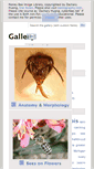 Mobile Screenshot of drone.cyberbee.net