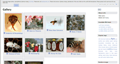 Desktop Screenshot of cyberbee.net